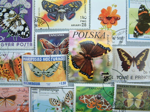 ★ 蝶 世界 切手 約100枚 スタンプ バタフライ ちょうちょう ★ 格安 珍品 コレクション