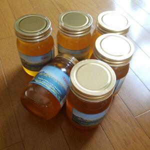 完熟 生蜂蜜　国産蜂蜜 純粋蜂蜜 無添加　非加熱　600グラム　6個