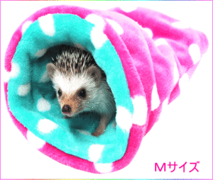 [ Rainbow ] hedgehog *morumoto.! Mini animal soft ....(M)