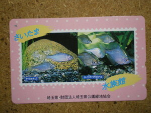 doub* fish yalitanago Thai lik rose tanago Saitama aquarium Saitama prefecture park green ground association telephone card 