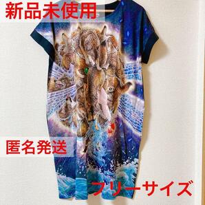 グラニフ チュニックワンピース シリウスの曳航 鴻池朋子 フリーサイズ