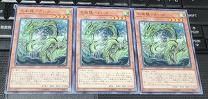 遊戯王　天威龍 - ナハタ　RIRA　ノーマル　３枚セット　即決