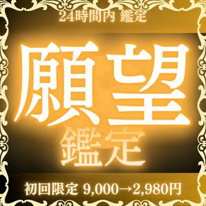 【超級鑑定士による願望鑑定】願望、願い、成就、成功、恋愛、金運、お金、占い