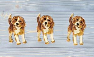 【３個セット】刺繍ワッペン☆ビーグル犬☆アイロン　アップリケ beagle dog ドッグ　