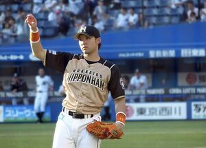  изначальный Hokkaido Nippon-Ham Fighters криптомерия ... предметы снабжения реальное использование вне . рука перчатка 