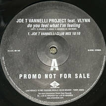 試聴 Joe T Vannelli Project Feat. Vlynn Do You Feel What I'm Feeling 2枚組プロモ盤_画像1