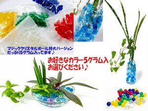 【黄色５ｇ】観葉植物切り花の水の代わりにハイドロカルチャーマジッククリスタルボール　ジェリーボール　植物のお世話がかんたん綺麗