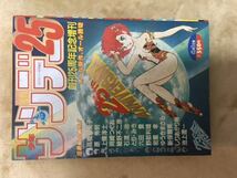 【レア雑誌】週間少年サンデー 特別編集 創刊25周年記念増刊 1984年4月1日号 高橋留美子 細野不二彦 石渡治 六田登 オール新作、オール読切_画像1