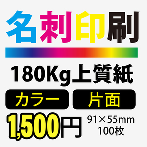 ★送料無料★ 名刺印刷 カラー 片面 名刺 【 100枚 】180Kg上質紙