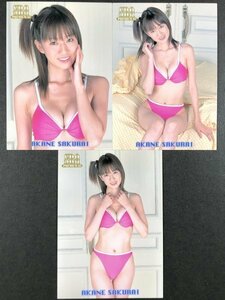 桜井 茜　SRQ PREMIUM 03　37・38・39　3枚セット　レースクイーン　グラビア アイドル トレカ トレーディングカード　