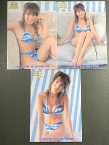二宮 さとみ　SRQ PREMIUM 02　46・47・48　3枚セット　レースクイーン　グラビア アイドル トレカ トレーディングカード　