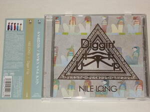 NILE LONG/Diggin' It Up/CDアルバム ナイルロング ディギン イット アップ The Brixton Academy