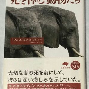 『死を悼む動物たち』バーバラ・J・キング(草思社文庫)