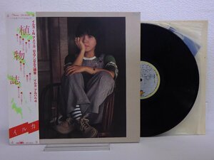 LP レコード 帯 イルカ 植物誌 イルカ IN アメリカ ロスアンゼルス録音 アルバム４ 【E+】 D12269K