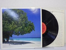 LP レコード ALBERT HAMMOND アルバート ハモンド YOUR WORLD AND MY WORLD 風のララバイ 【E+】 E7446H_画像1