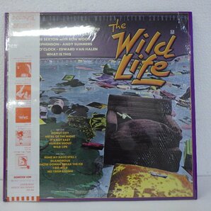 LP レコード 帯 THE WILD LIFE ワイルド ライフ MUSIC ORIGINAL SOUNDTRACK オリジナル サウンド トラック 【 E+ 】 E7905Zの画像2