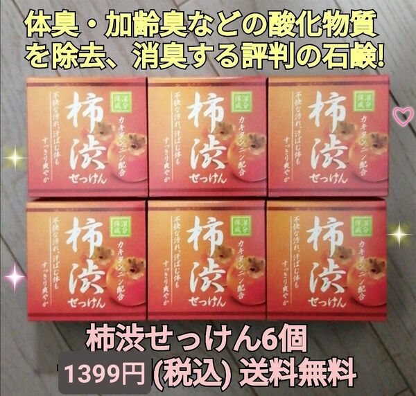 柿渋石せっけん6個 デオドラントソープ 体臭 加齢臭 ワキガ 足の臭い除去消臭