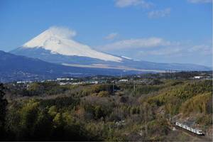 鉄道写真　185系特急踊り子号No.4富士山を背に竹倉付近を走る特急踊り子号