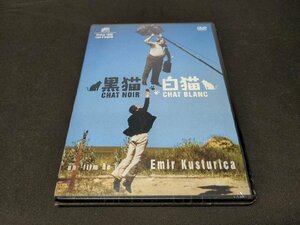 セル版 DVD 未開封 黒猫・白猫 / 2枚組 / ee523