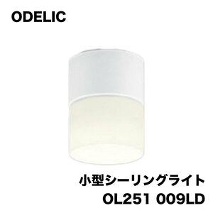 ＜ODELIC＞ 小型シーリングライト（型番：OL251-009LD）【未使用アウトレット品】