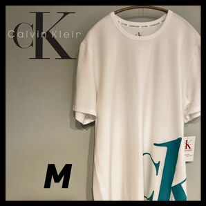 calvin klein カルバンクライン　Tシャツ　M ck