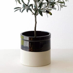  горшок покрытие модный крышка плантатора керамика цветок pot bai цвет современный простой натуральный растение в горшке керамика. bai цвет горшок pot 