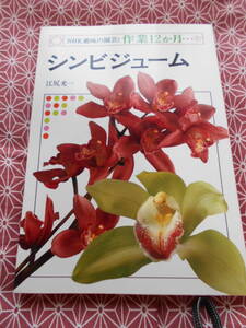 ★NHK趣味の園芸　作業12カ月7シンビジューム★シンビジウム★江尻光一　洋ランなどの観葉植物に挑戦してみましょう！