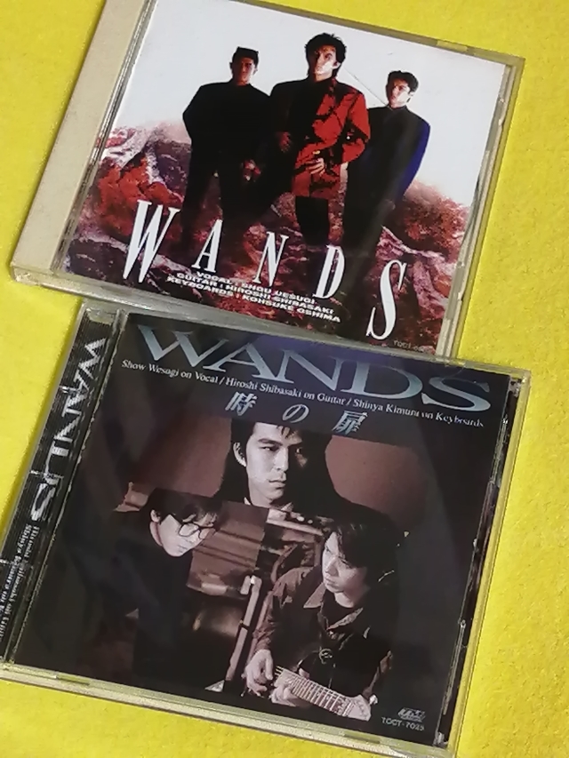 ◇レア◇WANDS(上杉昇/柴崎浩)◇ライブパンフレット◇ - CD