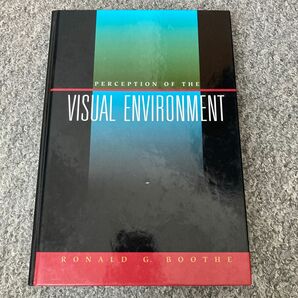 Perception of the Visual Environment