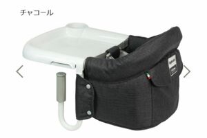 ◆新品 未開封 正規品【１年保証付】イングリッシーナ ファスト 専用トレー付◆カラー チャコール