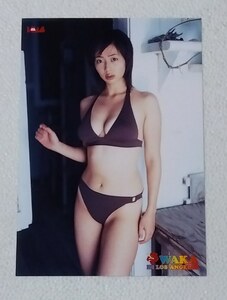 井上和香　　生写真1