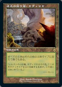 MTG ■土地/日本語版■ 《成長の揺り篭、ヤヴィマヤ/Yavimaya, Cradle of Growth》▲旧枠▲モダンホライゾン２ MH2