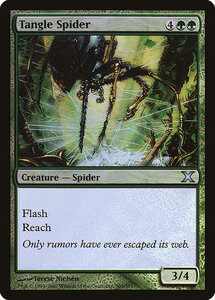 MTG ■緑/英語版■ 《絡み森の蜘蛛/Tangle Spider》★FOIL★ 第X版 10ED