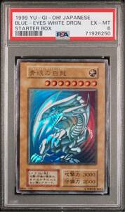 PSA6 青眼の白竜 初期 ウルトラ 遊戯王 yu-gi-oh! BLUE-EYES WHITE DRAGON