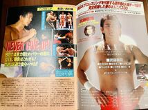 R7195 新日本プロレス　闘魂スペシャル Vol.111 バトルファイル95 Winter 1995 武藤敬司/天山広吉　蝶野/安生　長州/木村　パンフレット_画像7