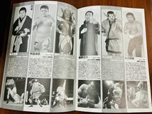 R7195 新日本プロレス　闘魂スペシャル Vol.111 バトルファイル95 Winter 1995 武藤敬司/天山広吉　蝶野/安生　長州/木村　パンフレット_画像6