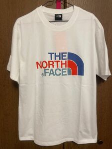 ザノースフェイス　レインボーロゴTシャツ THE NORTH FACE 半袖メンズ