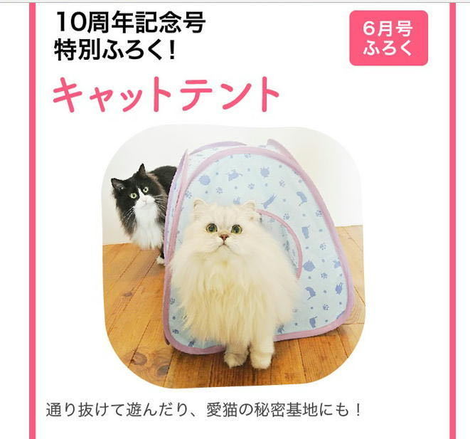 ヤフオク! -「ねこのきもち キャットテント」(ペット用品) の落札相場