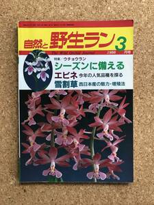 自然と野生ラン 1988年3月号　ウチョウラン エビネ 雪割草 ※ 園芸JAPAN