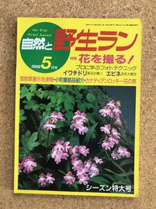 自然と野生ラン 1989年5月号　イワチドリ エビネ ユキワリソウ ウチョウラン ※ 園芸JAPAN