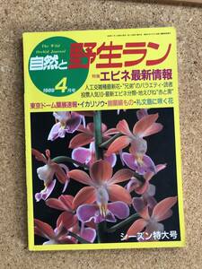 自然と野生ラン 1989年4月号　イワチドリ イカリソウ ウチョウラン 錦蘭 ※ 園芸JAPAN