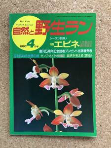 自然と野生ラン 1990年4月号　エビネ シュンラン ナギラン ※ 園芸JAPAN
