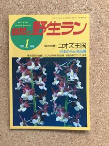 自然と野生ラン 1992年1月号　コオズ 長生蘭 ウチョウラン カンアオイ ※ 園芸JAPAN