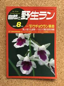 自然と野生ラン 1991年8月号　ウチョウラン エビネ チゴユリ 富貴蘭 イカリソウ セッコク ※ 園芸JAPAN