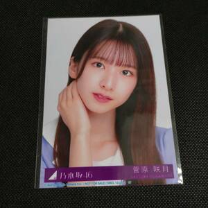 乃木坂46　菅原咲月　ここにはないもの　 生写真 A