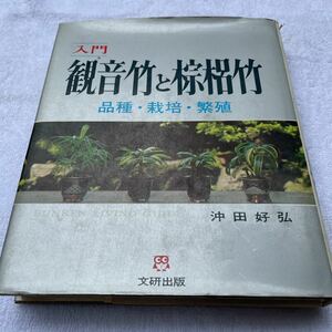 入門 観音竹と棕梠竹 品種・栽培・繁殖 沖田好弘 著 文研出版