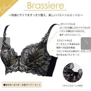 Divage LUXE ディヴァージュ リュクス ブラジャー ブラック