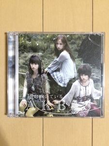 送料込み！AKB48　風は吹いている (TＹＰＥ-B)(通常盤) CD+DVD /キングレコード /前田敦子大島優子