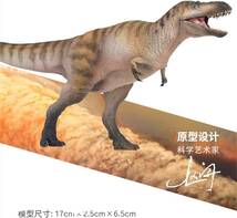 PNSO 成長シリーズ 49 ナノティラヌス ティラノサウルス類 恐竜 動物 リアル フィギュア PVC おもちゃ恐竜好き 誕生日 プレゼント 17cm級_画像7