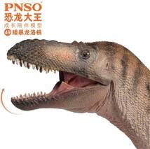 PNSO 成長シリーズ 49 ナノティラヌス ティラノサウルス類 恐竜 動物 リアル フィギュア PVC おもちゃ恐竜好き 誕生日 プレゼント 17cm級_画像4